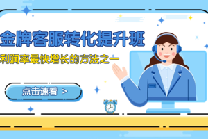 (8233期)金牌客服-转化提升班,利润率最快增长的方法之一(9节课)