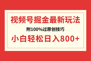 （8826期）视频号掘金，小白轻松日入800+（附100%过原创技巧）