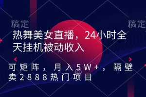 （9044期）热舞美女直播，24小时全天挂机被动收入，可矩阵 月入5W+隔壁卖2888热门项目