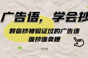 (9014期)广告语,学会抄!教你抄被验证过的广告语,谁抄谁卖爆(9节课)