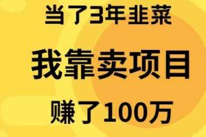 (9100期)当了3年韭菜,我靠卖项目赚了100万
