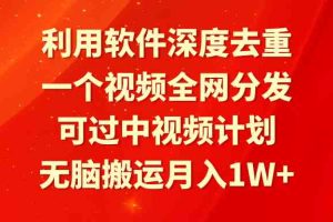（9224期）利用软件深度去重，一个视频全网分发，可过中视频计划，无脑搬运月入1W+