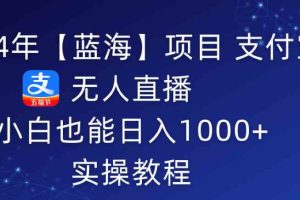 （9084期）2024年【蓝海】项目 支付宝无人直播 小白也能日入1000+  实操教程