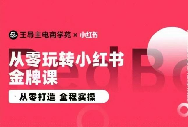 王导主·小红书电商运营实操课,从零打造 全程实操