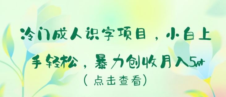 冷门成人识字项目,小白上手轻松,暴力创收月入5w+【揭秘】