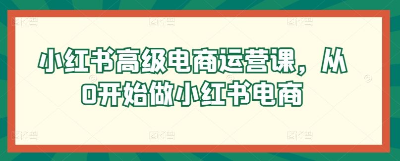 小红书高级电商运营课,从0开始做小红书电商