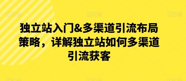 独立站入门&多渠道引流布局策略,详解独立站如何多渠道引流获客