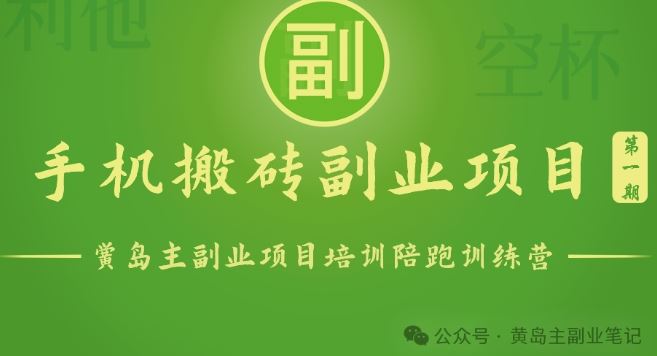 手机搬砖小副业项目训练营1.0，实测1小时收益50+，一部手机轻松日入100+
