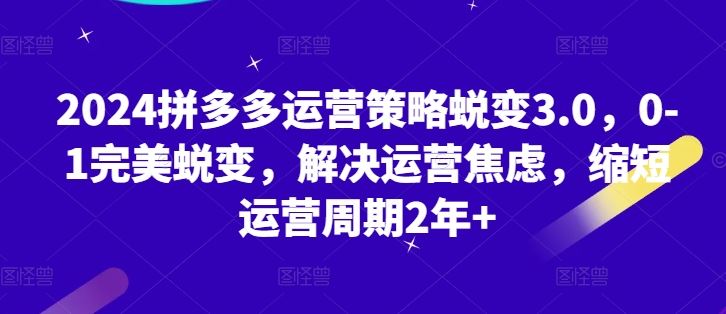 2024拼多多运营策略蜕变3.0,0-1完美蜕变,解决运营焦虑,缩短运营周期2年+