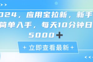 (11236期)2024应用宝拉新,真正的蓝海项目,每天动动手指,日入5000+