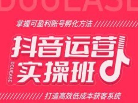 抖音运营实操班,掌握可盈利账号孵化方法,打造高效低成本获客系统