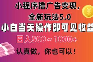 (11293期)小程序撸广告变现,全新玩法5.0,小白当天操作即可上手,日收益 500~1000+