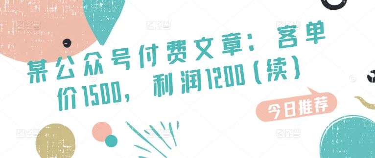 某公众号付费文章:客单价1500,利润1200(续),市场几乎可以说是空白的