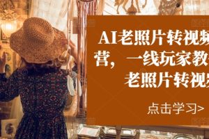（11477期）AI老照片转视频实操训练营，一线玩家教你AI老照片转视频