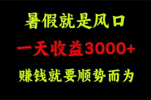 （11690期）一天收益3000+ 赚钱就是顺势而为，暑假就是风口