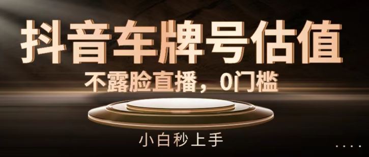 抖音车牌号估值,不露脸直播,0门槛,小白秒上手【揭秘】