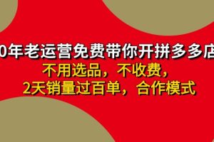 （11853期）拼多多 最新合作开店日收4000+两天销量过百单，无学费、老运营代操作、…