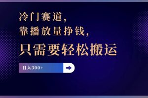 (11965期)冷门赛道,靠播放量挣钱,只需要轻松搬运,日赚300+