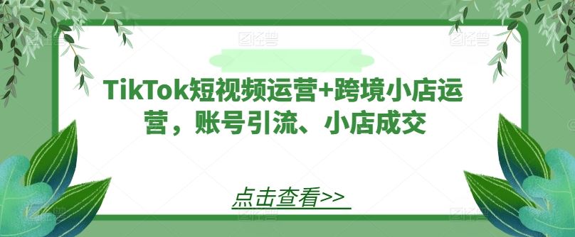 TikTok短视频运营+跨境小店运营,账号引流、小店成交