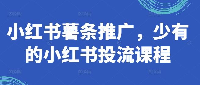 小红书薯条推广,少有的小红书投流课程