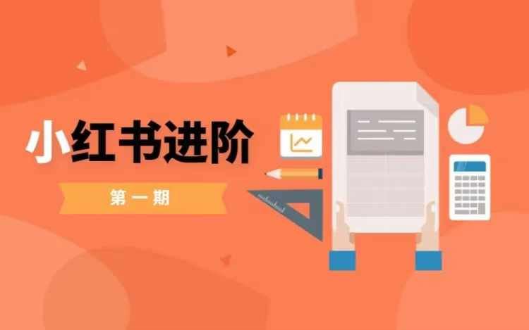 小红书进阶篇,零基础小白实战课,普通人变现的课程