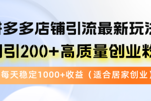 （12893期）拼多多店铺引流最新玩法，日引200+高质量创业粉，每天稳定1000+收益（…