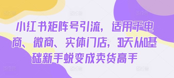 小红书矩阵号引流,适用于电商、微商、实体门店,30天从0基础新手蜕变成卖货高手