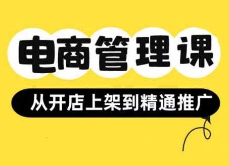 小红书&闲鱼开店从开店上架到精通推广,电商管理课