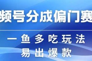 视频号创作者分成计划偏门类目，容易爆流，实拍内容简单易做【揭秘】