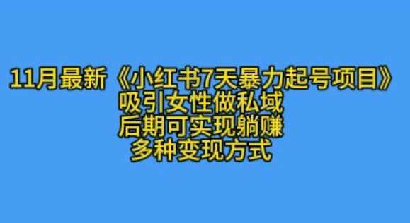 K总部落11月最新小红书7天暴力起号项目,吸引女性做私域【揭秘】