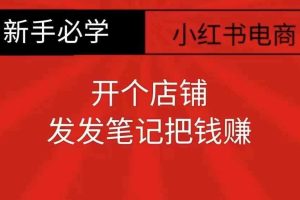 小红书零食共创【新手易上手】开个店铺，发发笔记把钱赚