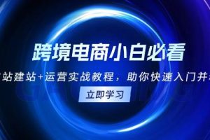 （13503期）跨境电商小白必看！独立站建站+运营实战教程，助你快速入门并精通