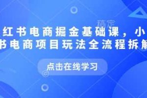 小红书电商掘金课，小红书电商项目玩法全流程拆解