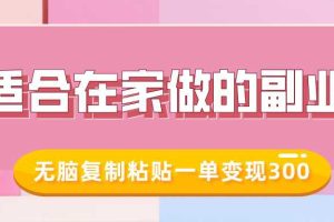 适合在家做的副业，小红书冷知识账号，无脑复制粘贴一单变现300