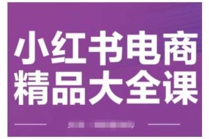 小红书电商精品大全课，快速掌握小红书运营技巧，实现精准引流与爆单目标，轻松玩转小红书电商(更新2月)