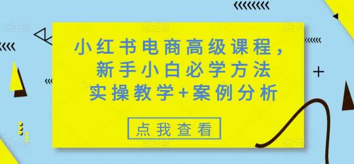小红书电商高级课程,新手小白必学方法,实操教学+案例分析
