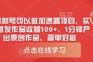 0粉新号可以做的加速器项目，实测首发作品收益100+，1分钟产出原创作品，简单好做