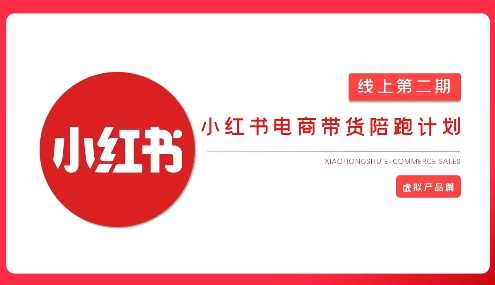 2025小红书虚拟电商实战课,从0到1打造无货源店铺,AI+爆款笔记轻松变现