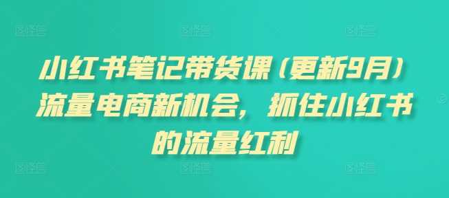 小红书笔记带货课(更新25年3月)流量电商新机会,抓住小红书的流量红利