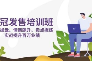 销冠发售培训班：发售 操盘+情商 飙升+卖点 提炼，实战提升百万业绩