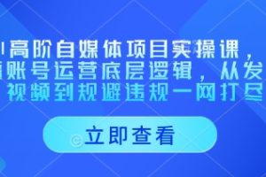 AI高阶自媒体项目实操课，讲透账号运营底层逻辑，从发布视频到规避违规一网打尽