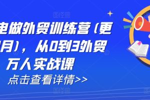 AI闪电做外贸训练营(更新25年4月)，从0到3外贸万人实战课
