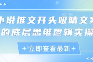 小说推文开头吸睛文案的底层思维逻辑实操