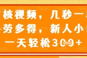 视频审核员，几秒一单，不限时间，不限地点，多做多得，新人小白一天轻松几张+【揭秘】