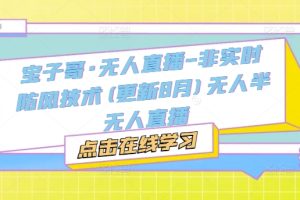 宝子哥·无人直播-非实时防风技术(更新25年5月)无人半无人直播