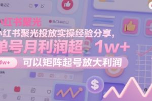 小红书聚光投放实操经验分享，单号月利润超1w+，可以矩阵起号放大利润
