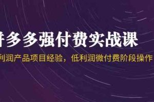 拼多多强付费实战课-44期，高利润产品项目经验，低利润微付费阶段操作