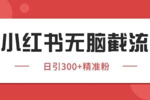 小红书截流同行客源，独家野路子获客玩法 日引200+暴力获客【揭秘】