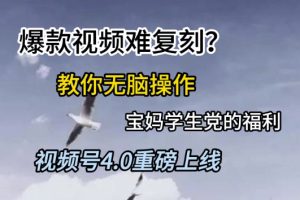视频号4.0重磅上线，爆款视频难复刻？教你无脑操作宝妈学生党的福利【揭秘】