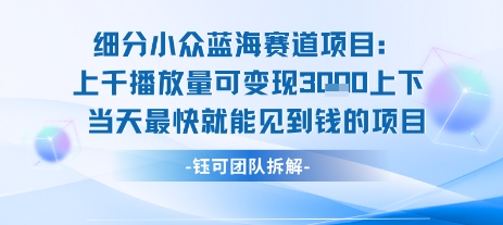小众蓝海赛道项目:当天变现1k+适合新手操作 +适合长期玩